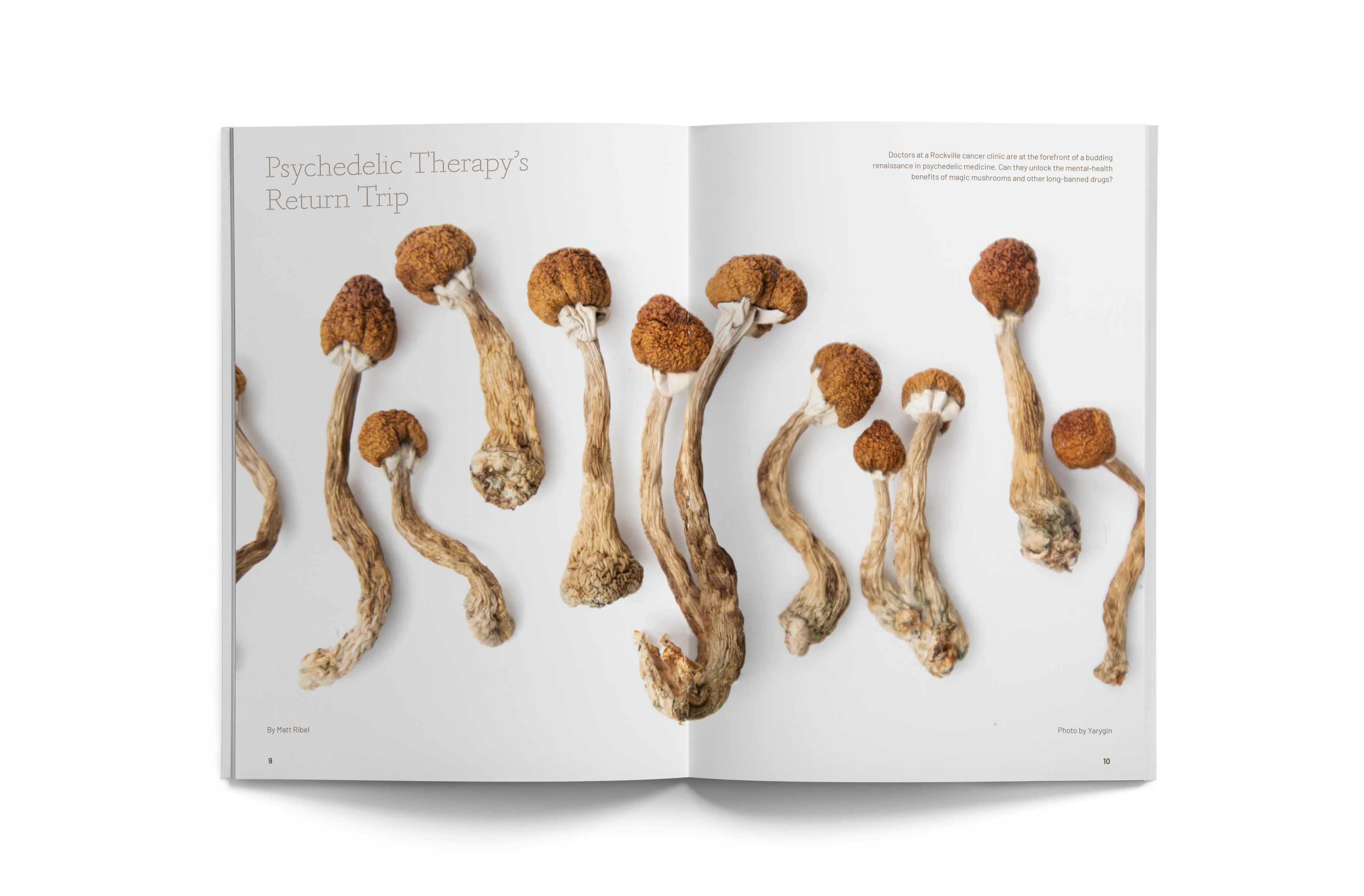 Psychedelic Therapy's Return Trip — full-spread opener with dried psilocybin mushrooms on white