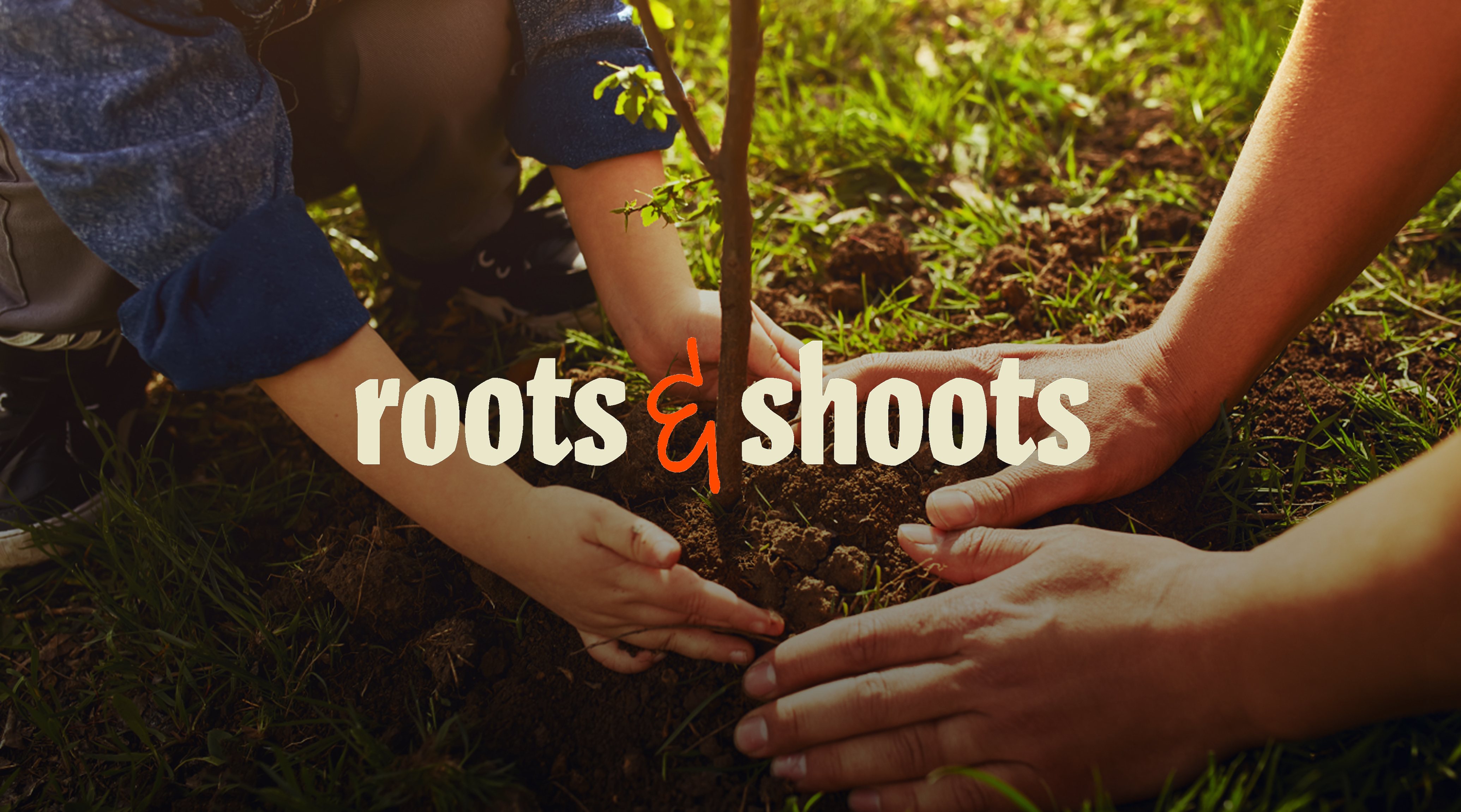 Hands of an adult and a child planting a young tree, with the roots & shoots wordmark overlaid