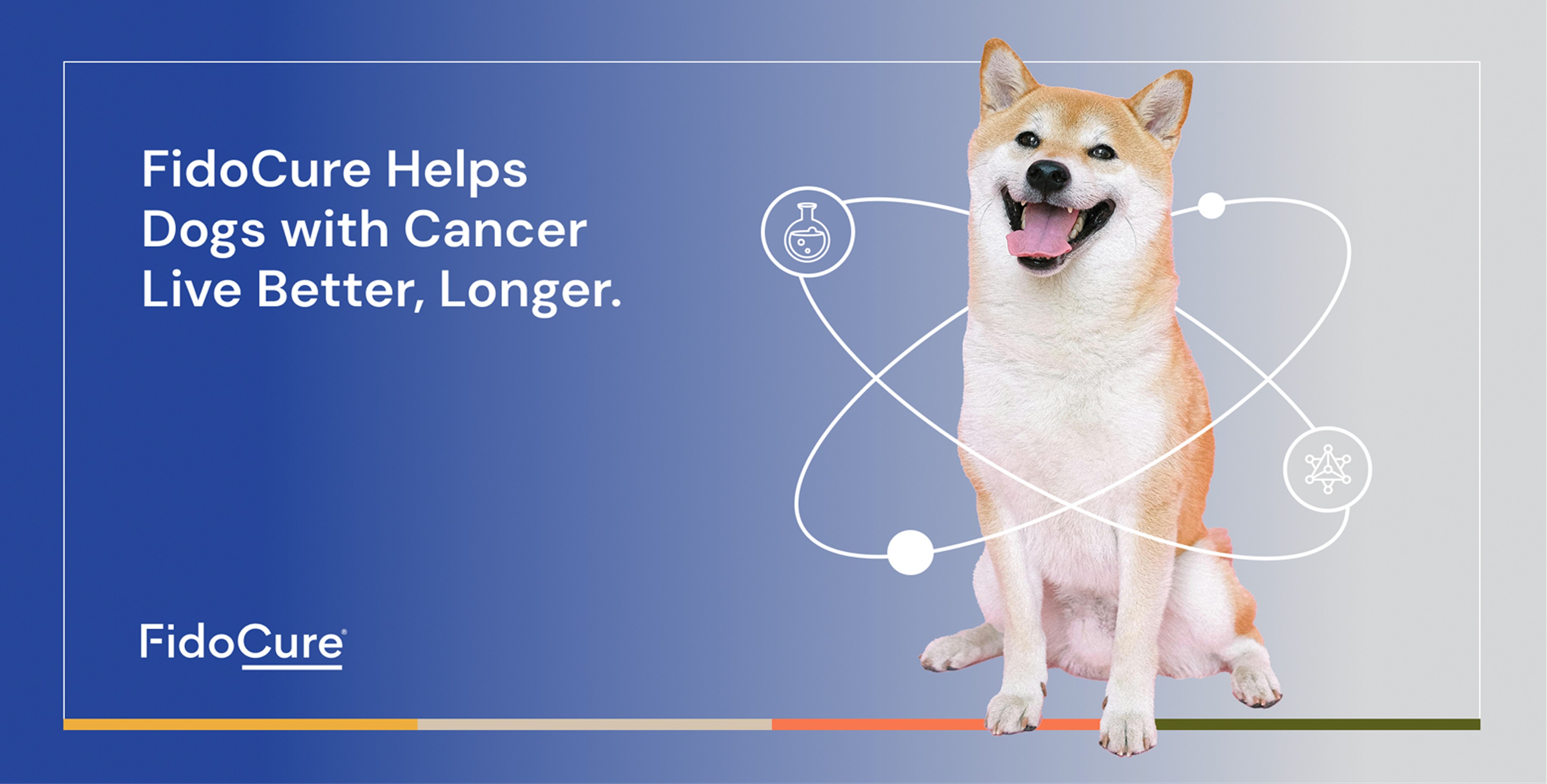 FidoCure hero: 'FidoCure Helps Dogs with Cancer Live Better, Longer' with a Shiba Inu